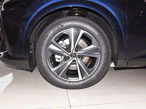 2025�� 300 ����������