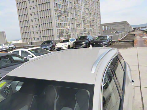 2025�� DM-i 75KM������