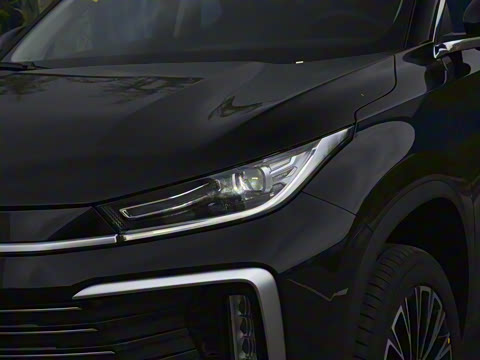 2025�� 300T �������߰�