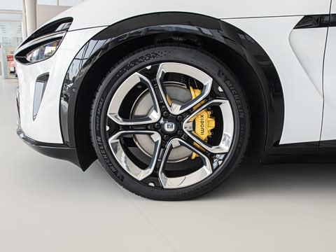 2025�� ������������Pro��