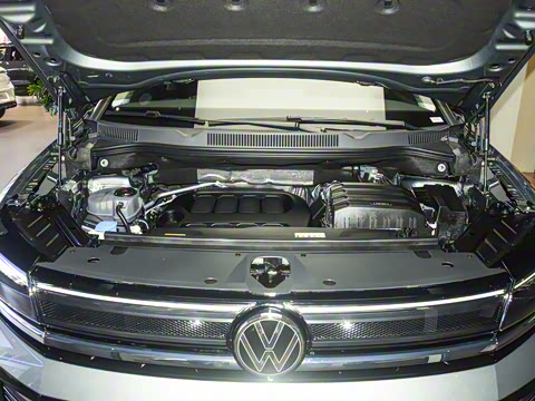 2026�� 450TSI �������� 7��