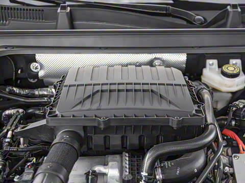 2025�� 100������Plus����