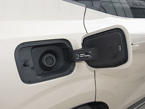 2026�� ������������Plus