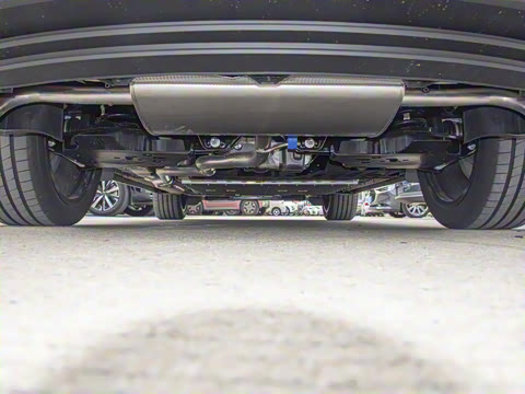 2026�� ������������Plus