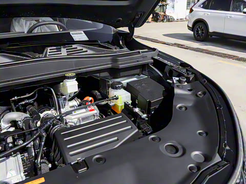 2025�� 185KM�����