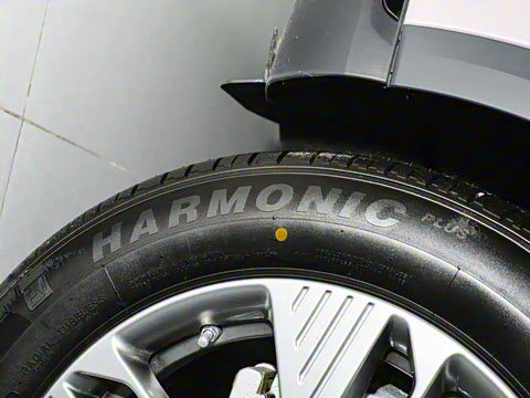 2025�� 565km ������