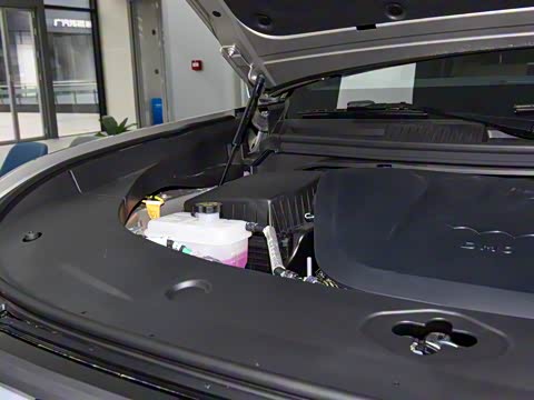 2025�� ���º����� 5��