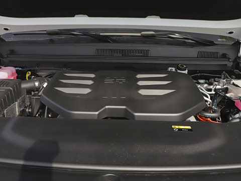 2025�� ��Ұ�� 5��