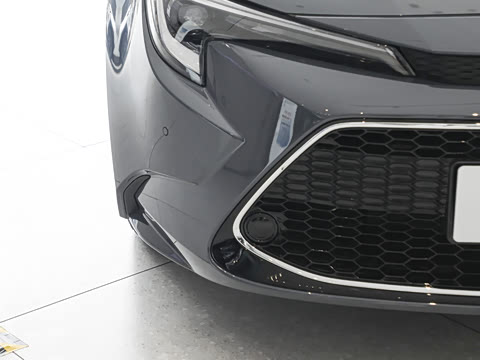 2026�� ����L 185T ������