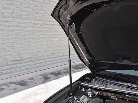 2026�� ˫�� 2.0HGVP ������