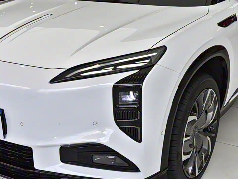 2025�� 565�����ȷ��