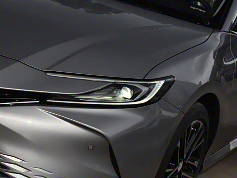 2026�� ˫�� 2.5HG ����