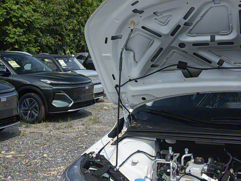 2026�� �� ���е�ض��İ�