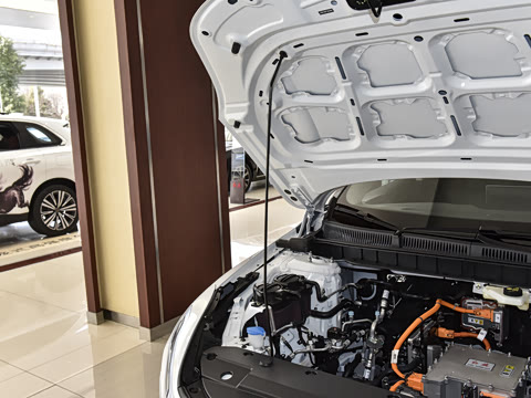 2025�� 500km �����