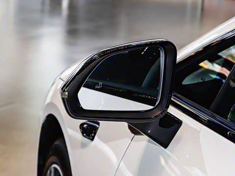 2025�� 710 Max��