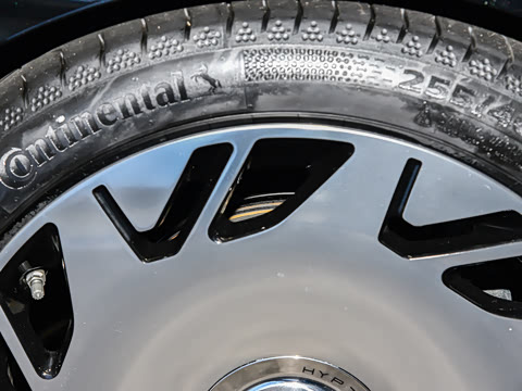 2025�� ������