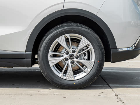2026�� 565km ������