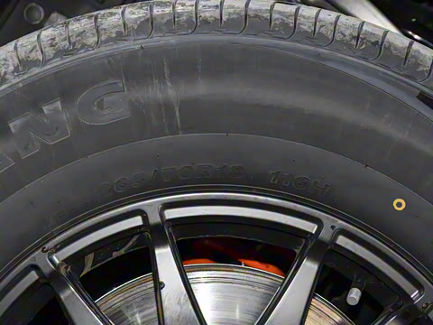 2025�� ������-��Ұ 5��