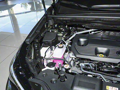 2025�� 350h JOY X