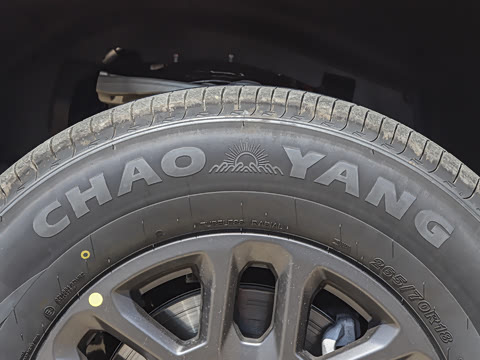 2025�� ̽Ұ�� 5��