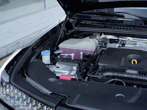 2025�� ������