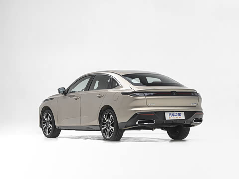 2026�� 1.5L ��϶���