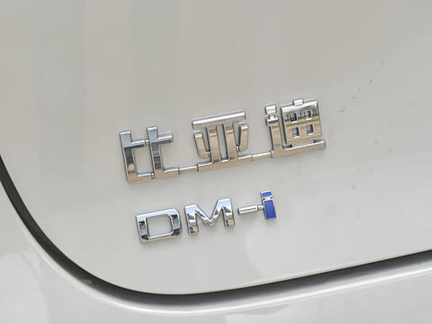 2026�� DM-i 305�Ǻ���