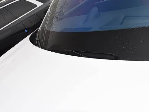 2026�� ���� Max�������� 5��