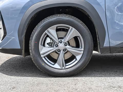 2025�� ���Ĵ� 1.5TD DCT �﷫