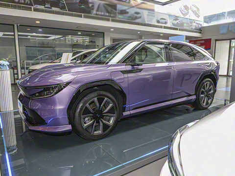 2025�� ����������Pro