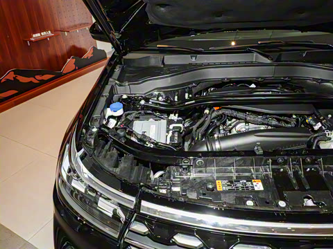 2024�� 2.3T EcoBoost �������а� 7��