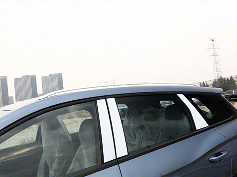 2026�� DM-i 133KM��ȡ��