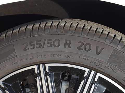 2025�� EV �������������