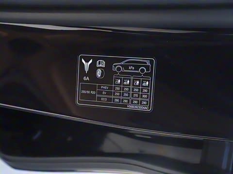 2025�� EV ����׿Խ������