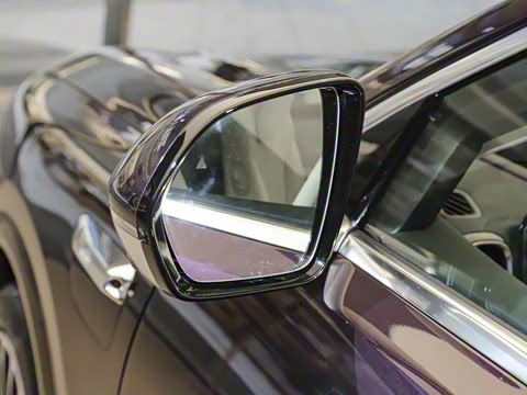 2025�� ���� Max+ ������������ 