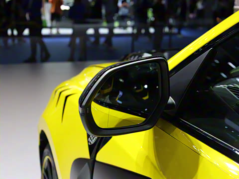 2025�� ����