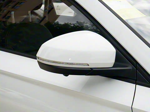 2026�� 280TSI �Զ�����Plus��