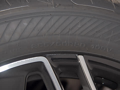 2026�� Elite ���̰�