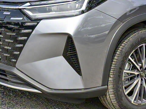 2025�� 290T ��������+