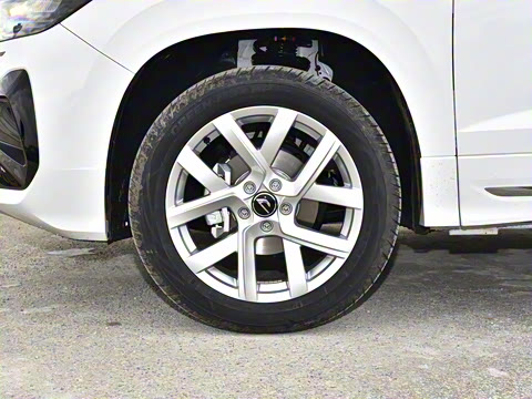 2026�� 280TSI �Զ��ȷ��