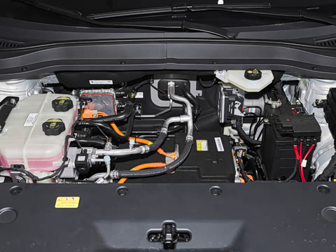 2026�� 445km ���ð�