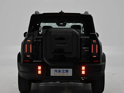 2026�� 2.0TD XWD ��Խ