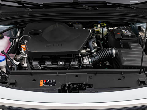 2026�� 1.5L �����