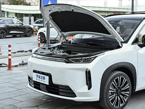 2026�� 650 ���װ�