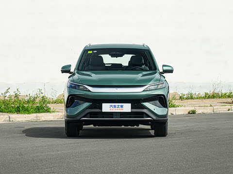 2026�� DM-i 133KM��Խ��