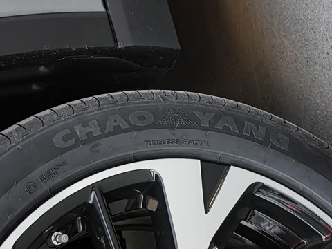 2026�� DM-i 220KM��Խ��