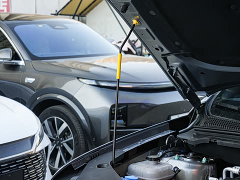 2026�� DM-i 220KM��Խ��