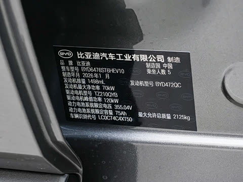 2026�� DM-i 220KM��Խ��