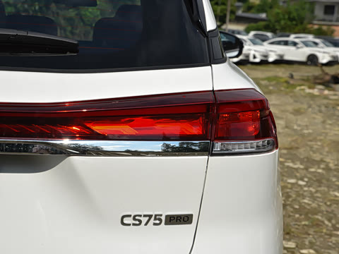 2026�� PRO 1.5T DCT ������ 7��