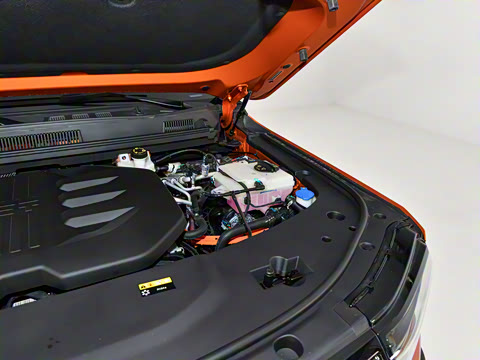 2025�� ������ 6��